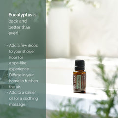 doTERRA Eucalyptus Radiata diffuser in a room creating a fresh atmosphere.