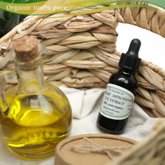 Dr Adorable rosemary leaves plant used as a natural antioxidant source.