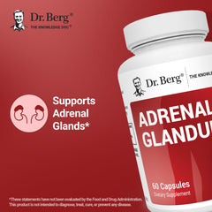 Dr. Berg Adrenal Glandular capsules ready for daily use