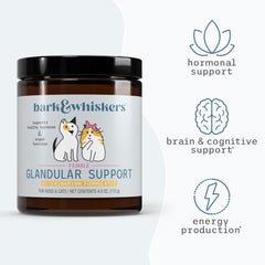 Dr. Mercola Bark & Whiskers dog with supplement during daily care.