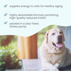 Non-GMO gluten-free soy-free formulation for pet wellness.