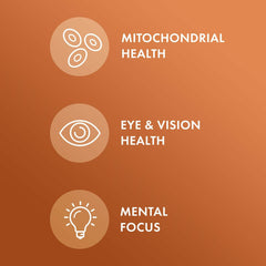 Dr. Mercola Curcumin Advanced label closeup highlights high curcuminoid content.