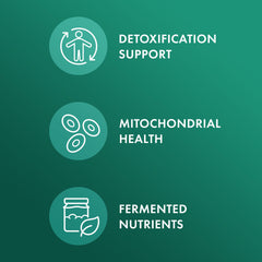 Dr. Mercola fermentation process visual suggests pre digested nutrients for absorption