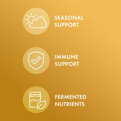 Close-up of Dr. Mercola Beta Glucans capsules in a clean setup