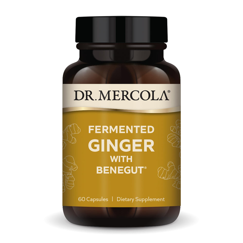 Dr. Mercola Fermented Ginger with Benegut bottle front view for digestive support.
