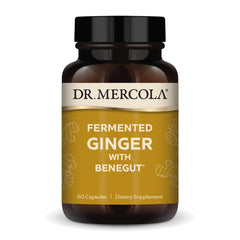 Dr. Mercola Fermented Ginger with Benegut bottle front view for digestive support.