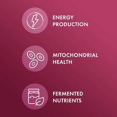 Dr. Mercola Organic Fermented Beets label highlights USDA Organic and allergen-free ingredients