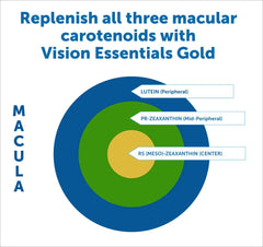 Vision Essentials Gold ingredients label highlighting Lutemax 2020 lutein