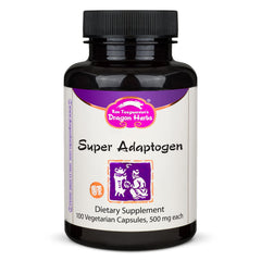 Dragon Herbs Super Adaptogen bottle front for daily resilience and mood balance.