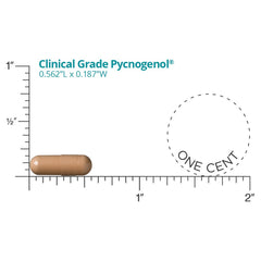 DR.WHITAKER Pycnogenol packaging box highlighting premium formula