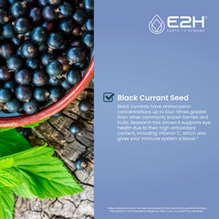 E2H bottle label highlighting vegan, kosher, gluten-free notes.