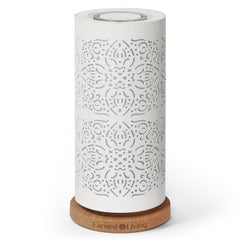 Earnest Living waterless diffuser with metal shell enhances modern interiors.