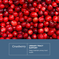 Eclectic Institute Cranberry freeze-dried close-up—fresh nutrients locked in.