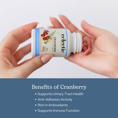 Eclectic Institute Cranberry label detail—organic, non-GMO, gluten-free assurance.