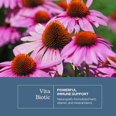 Eclectic Herb Vitabiotic ingredients showcase echinacea for immune support