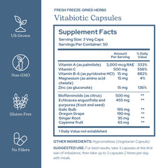Close-up of Eclectic Herb Vitabiotic capsules highlighting convenient daily use