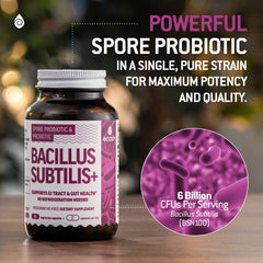 Ecosh label; premium ISO-certified quality and pure Bacillus Subtilis strain.