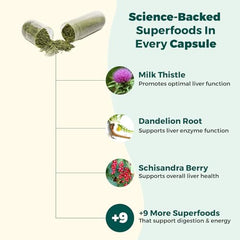 EdenBoost AlphaCleanse ginger-turmeric roots visual suggests anti-inflammatory flavor-forward ingredients.