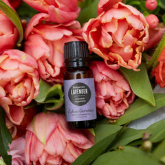 Edens Garden Lavender Bulgarian essential oil diffuser scene for serene home ambiance