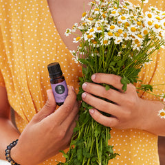Edens Garden Ylang Ylang diffuser setup creates relaxing floral ambiance.