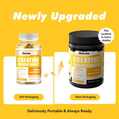 ElevateLife Creatine Monohydrate Gummies bottle back label with ingredient details