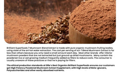 Ellie's Best double-extracted mushroom powder scoop highlights concentrated potency for quick use.