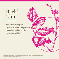 Elm label close-up highlighting natural ingredients and gentle balance.