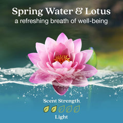 Enviroscent liquid-free diffuser unit offers a safe, mess-free fragrance experience.