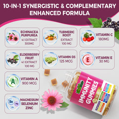 EnvyCure elderberry gummies bottle emphasizes antioxidant-rich ingredient blend for immune vitality.