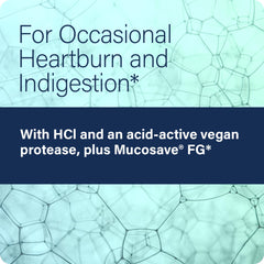 Enzyme Science Betaine HCl with Pepsin bottle on counter ready for meals.
