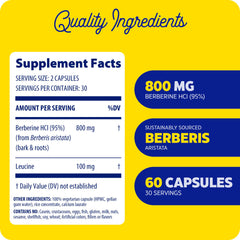 Enzymedica Berberine 800 mg bottle angle highlights compact capsules for daily wellness.