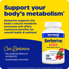 Enzymedica Berberine 800 mg capsules pouring out illustrate convenient daily intake.