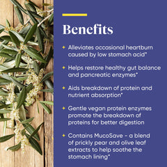 Olive leaf extract in Enzymedica Betaine HCl formula