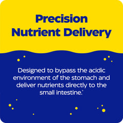 Enzymedica pH-Basic bottle side label showing dosage and vegan formula.