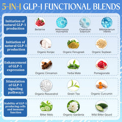 Live probiotic strains including Akkermansia muciniphila promote balanced gut microbiota