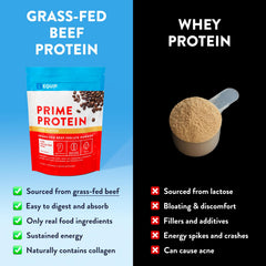 Equip Prime Protein Powder chocolate flavor tub offers a dairy-free protein boost