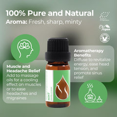 Essences Bulgaria mint essential oil bottle closeup highlights premium quality.