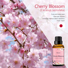 Esslux Cherry Blossom oil diffusing with a diffuser, creating a calming ambiance.