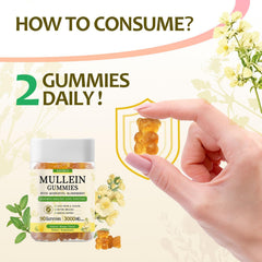 Esverco Mullein Gummies ingredients collage featuring quercetin and elderberry