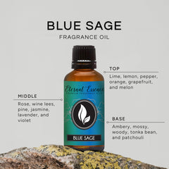 Eternal Essence Oils Blue Sage dropper insert enables precise scent dispensing.