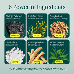 Ashwagandha adaptogen capsules suggest calm focus and resilience.