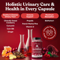Eu Natural clinically studied cranberry extract dose visual for urinary support.