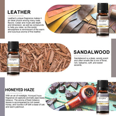 EUQEE Sandalwood fragrance oil 10ml, creamy woods for calm ambience.