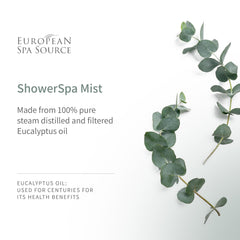 Bathroom with steam and European Spa Source eucalyptus shower spa ambience