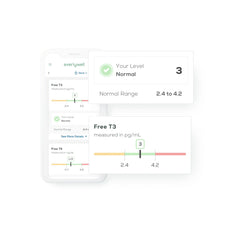 Everlywell online results platform offering clear, shareable thyroid insights.