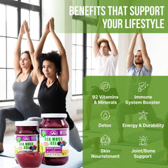 EverSmith Organics wildcrafted sea moss jar on kitchen shelf ready to mix for wellness