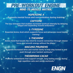 Glass of EVL ENGN Blue Raz signaling a refreshing pre-workout ritual.