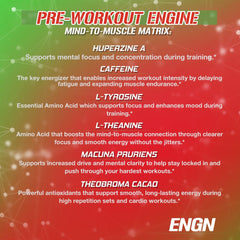 EVL Intense Pre Workout tub nutrition facts for informed ingredient choices.