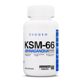 Evogen KSM-66 Ashwagandha bottle front supports daily calm and focus