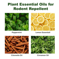 Failpest peppermint oil dropper close-up highlighting easy application along walls.